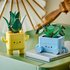 Lego Botanical 10349 Vrolijke Plantjes_